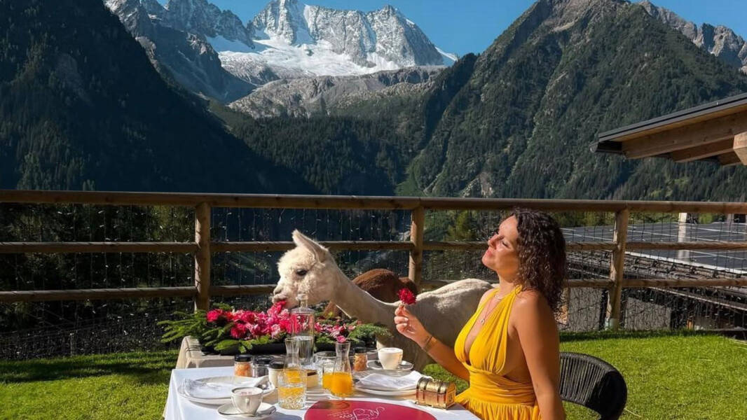 Colazione con Alpaca Farm Garden